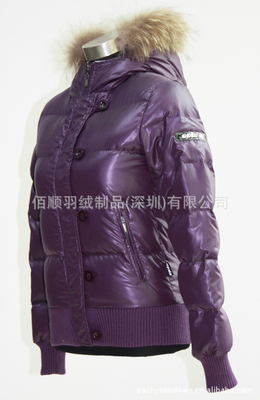 【制衣工廠生產(chǎn)批發(fā)供應(yīng)外貿(mào)服裝連帽毛條防水防寒保暖女裝羽絨服81】價格,廠家,圖片,服裝加工,佰順羽絨制品(深圳)-
